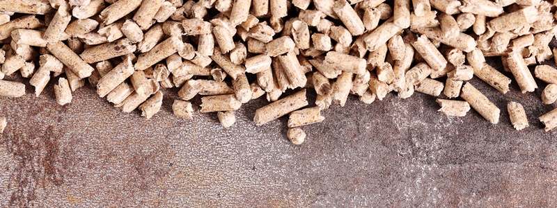 Biomassa: Vantagens e Desvantagens