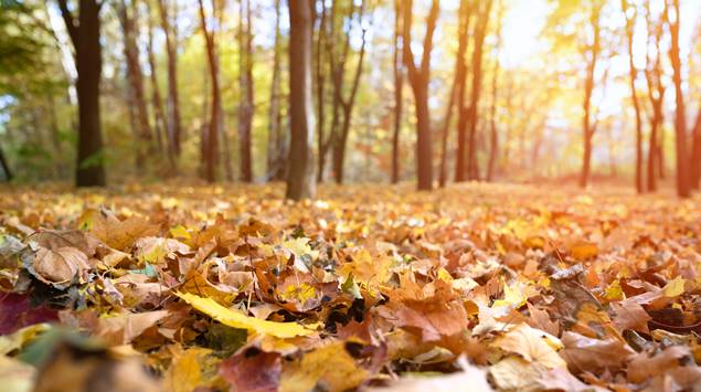 O que é o equinócio de outono?